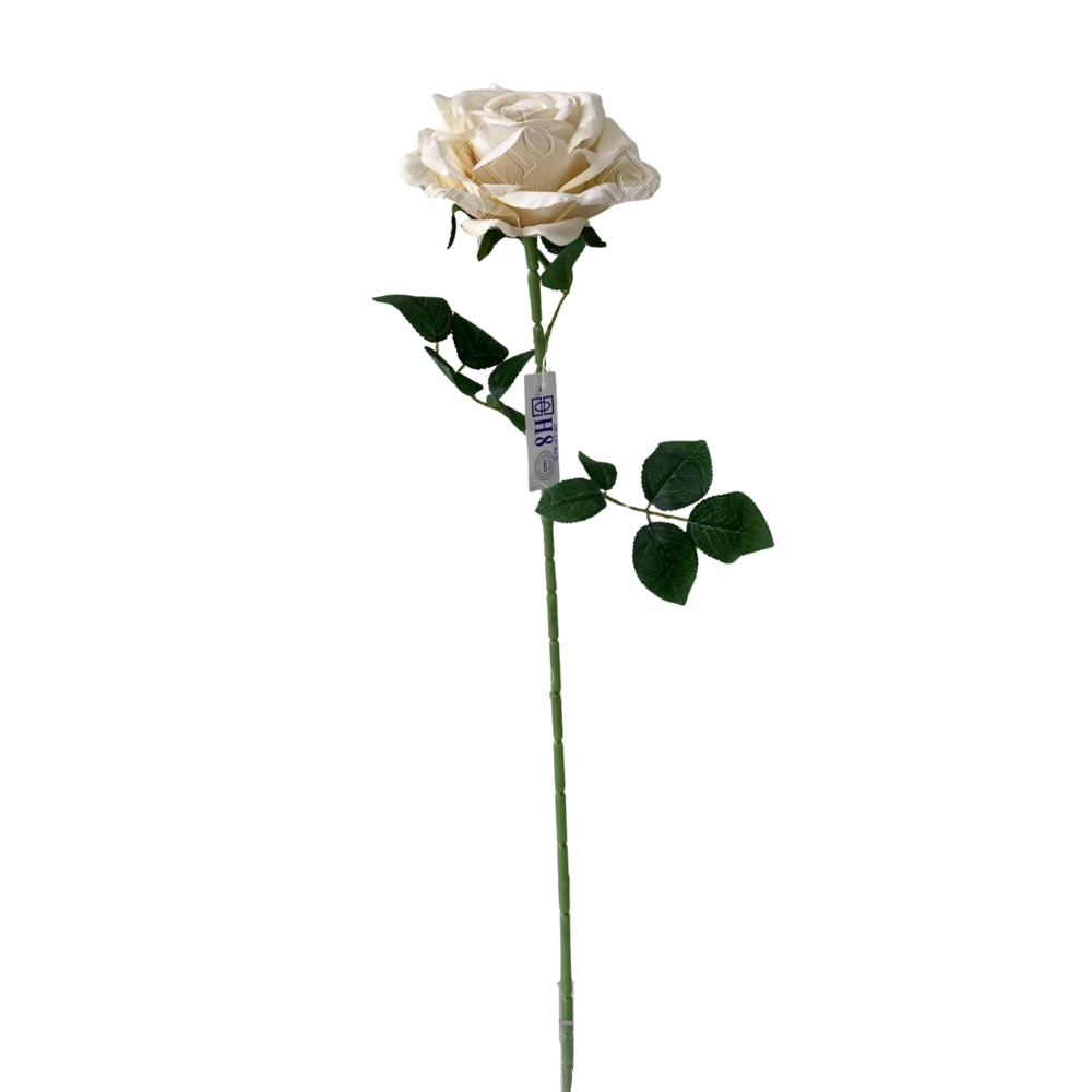 ROSA UNITARIA AVELUDADA CHAMPANHE (M) 75CM