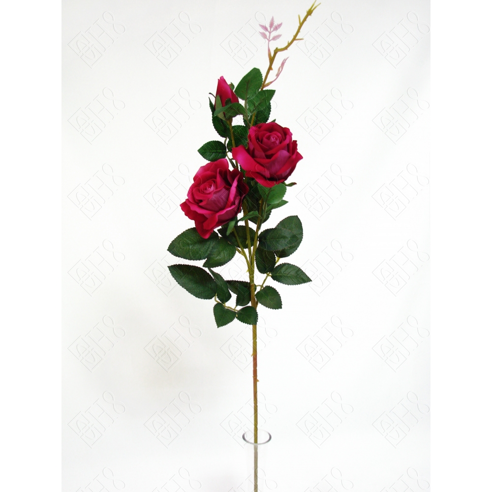 ROSEIRA AVELUDADA CERISE X 3 (M) 88CM