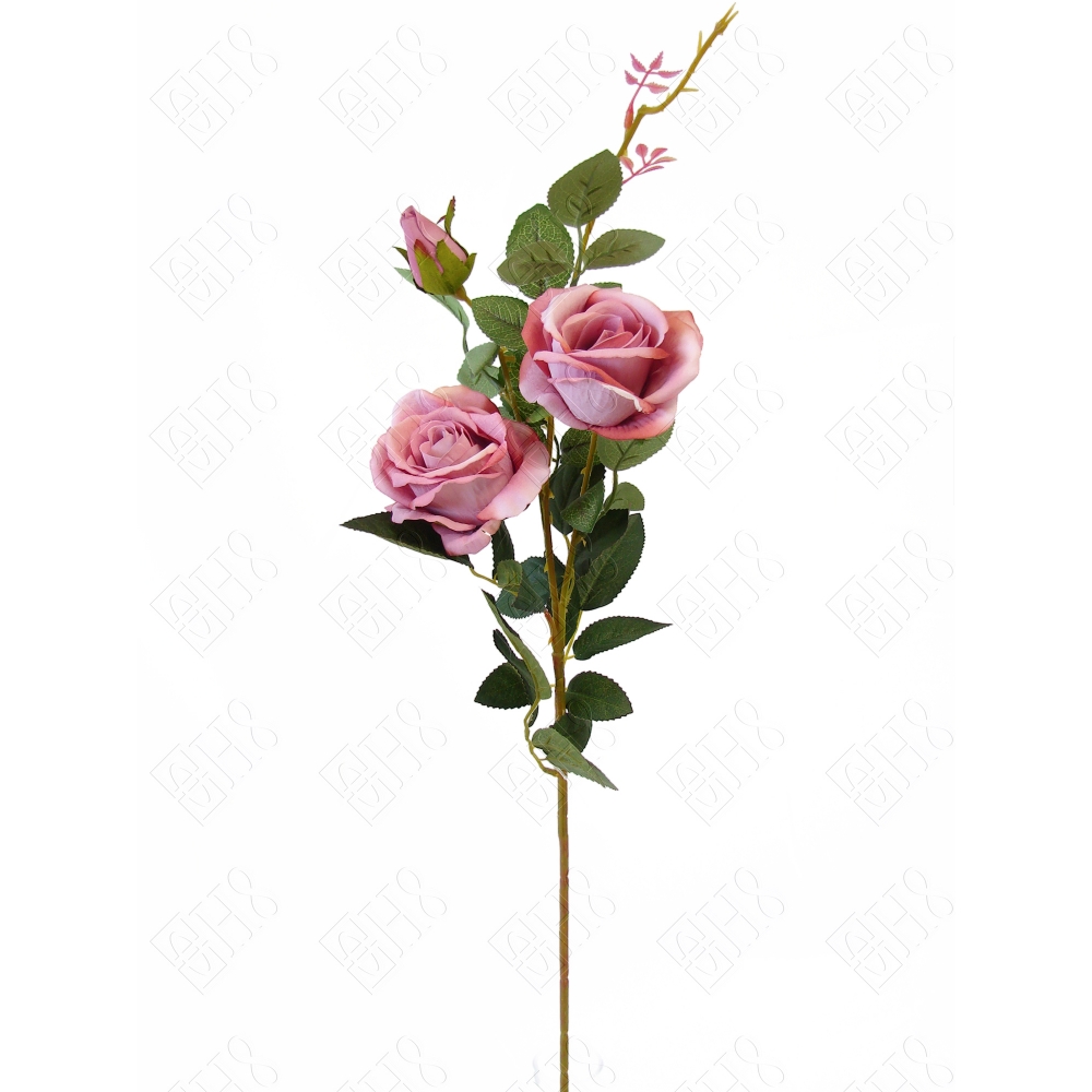 ROSEIRA AVELUDADA WATERMLEON RED X 3 (M) 88CM