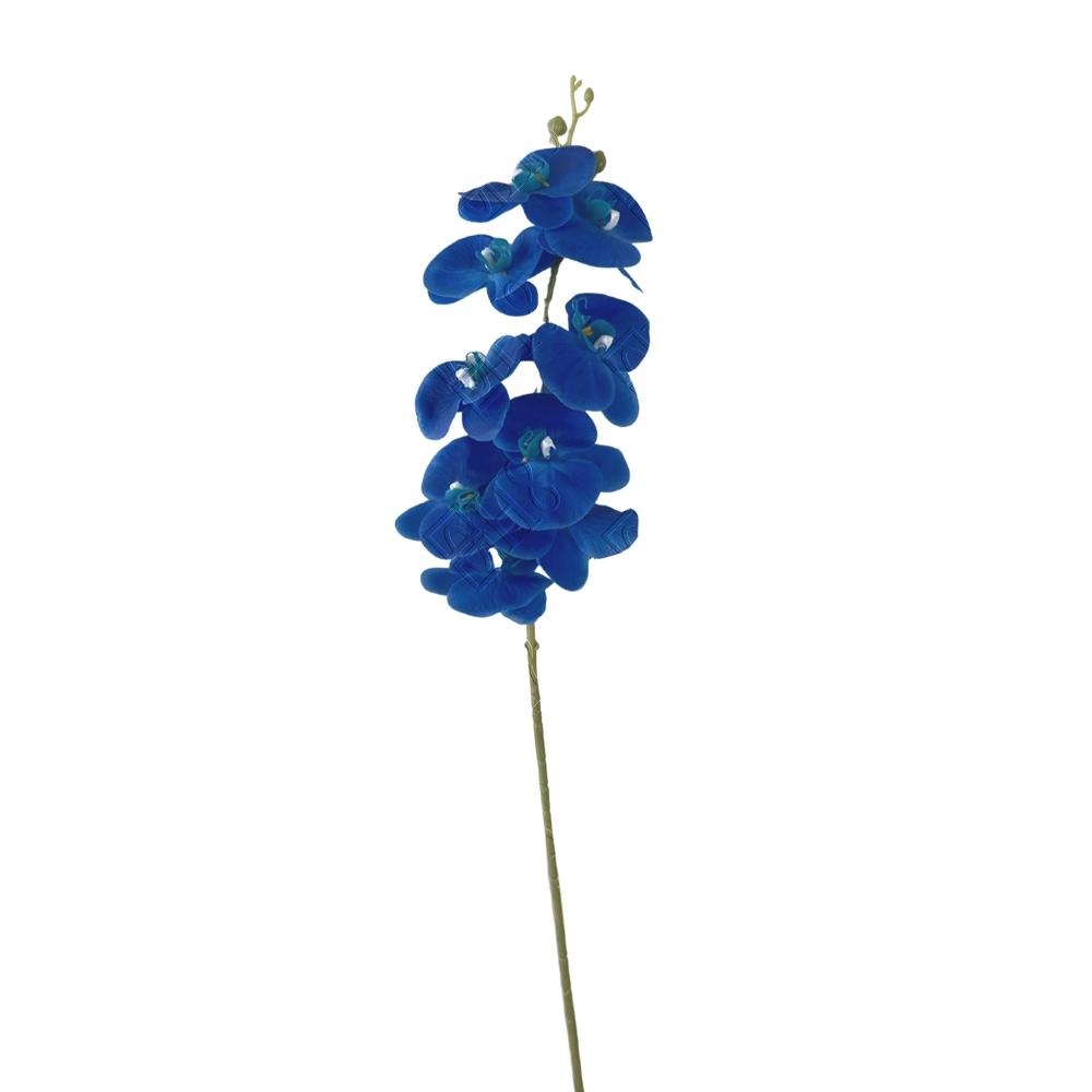 ORQU&Iacute;DEA TOQ. REAL AZUL X 9 (M) 1,00M