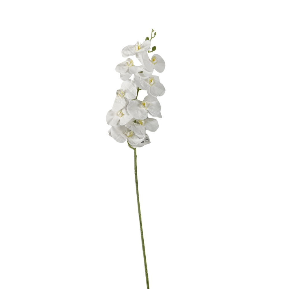 ORQUIDEA TOQUE REAL BRANCA X 9 (M) 1,00M