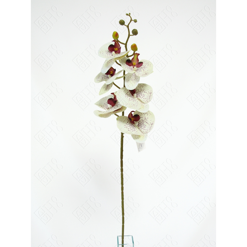 ORQUIDEA 3D PONIT X 6 (M) 90CM