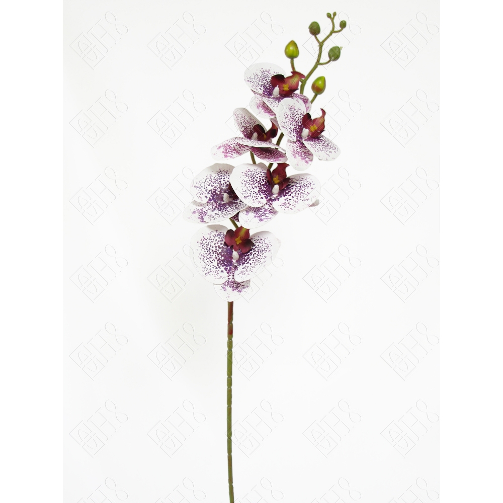 ORQUIDEA 3D POINT X 6 (M) 90CM