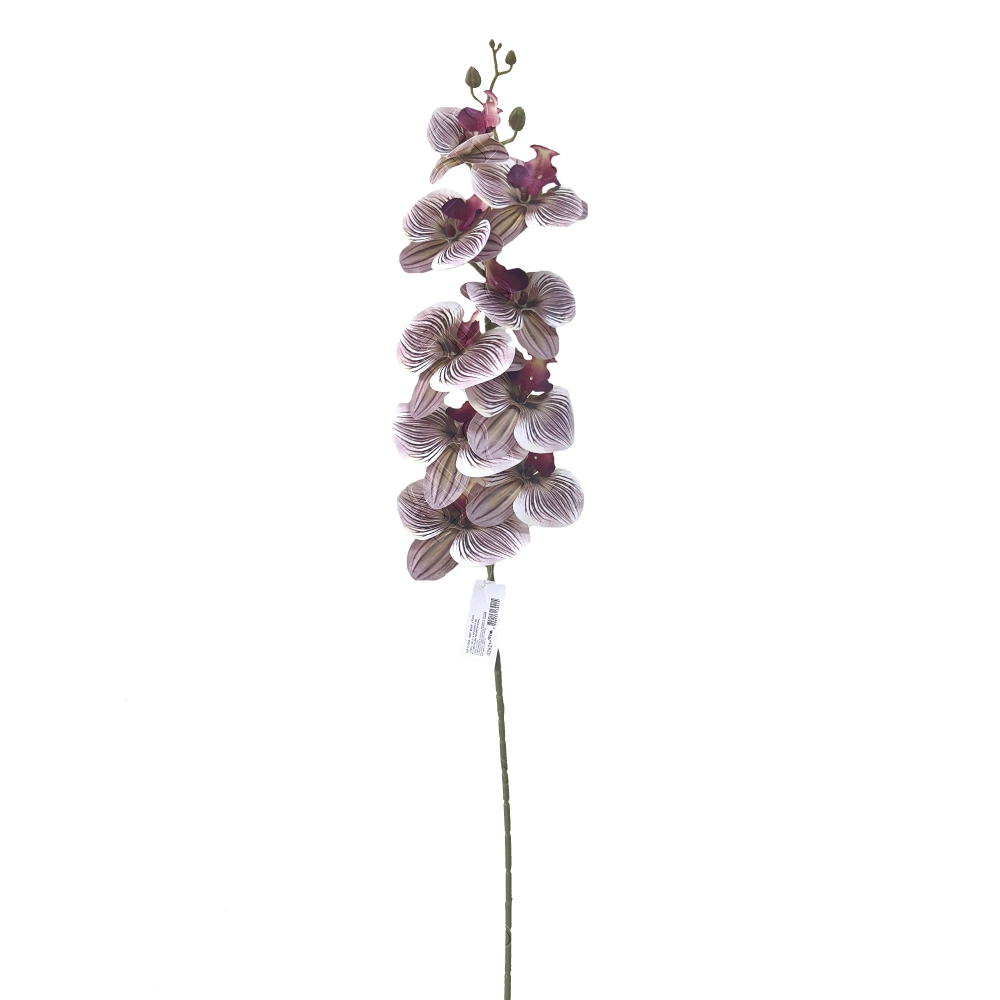 ORQUIDEA 3D X 9 (M) 1,05M (SORTIDO)