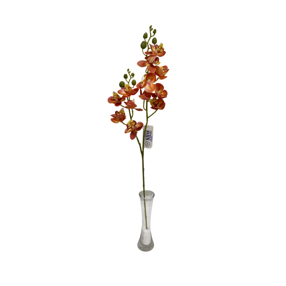 ORQUIDEA PHALAENOPSIS X 2 GALHOS X 12 FLORES (M) 63CM