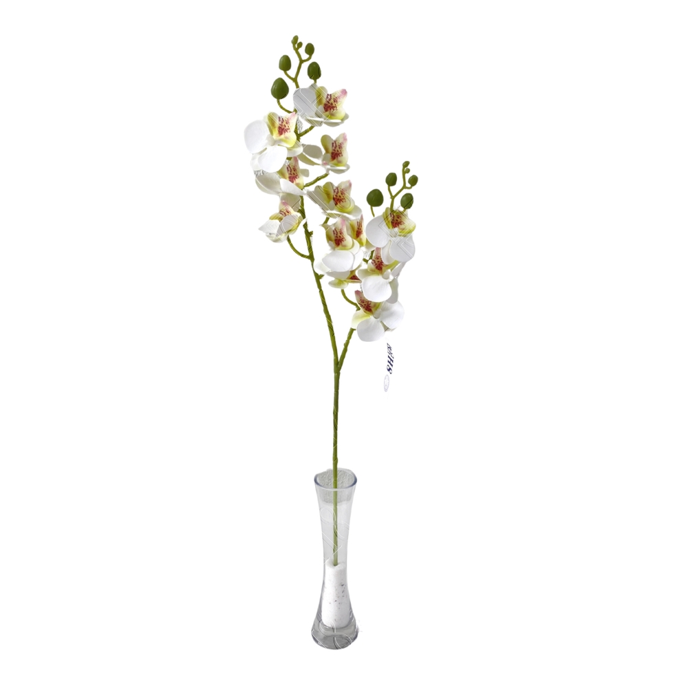 ORQUIDEA PHALAENOPSIS BRANCA X 2 GALHOS X 12 FLORES (M) 63CM