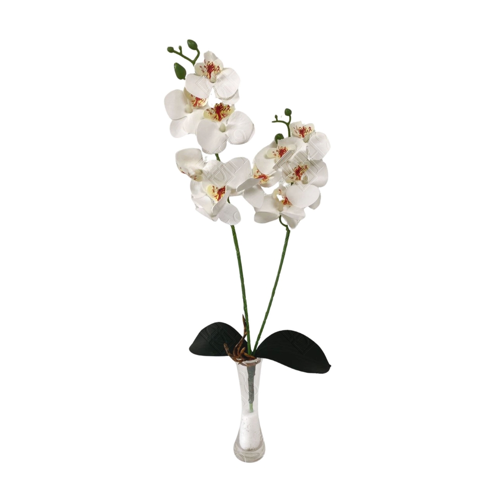 GALHO DE ORQUIDEAS PHALAENOPSIS BRANCA COM FOLHA TOQUE NATURAL X 2 (M) 57CM