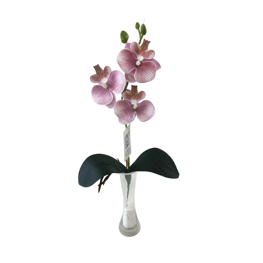 GALHO DE ORQUIDEA PHALAENOPSIS COM FOLHA TOQUE NATURAL 3 FLORES (M) 46CM (COLORIDA)
