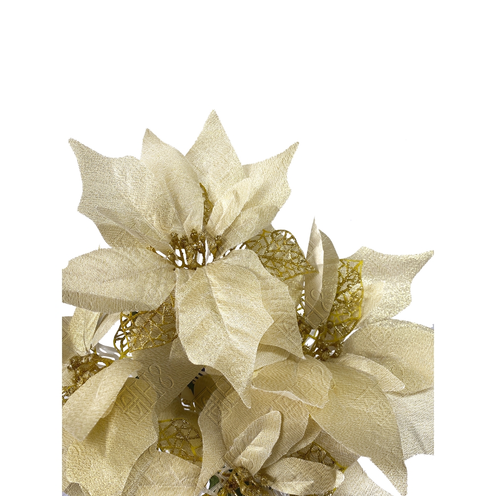 BICO DE PAPAGAIO X 5 GOLD (D) 47CM