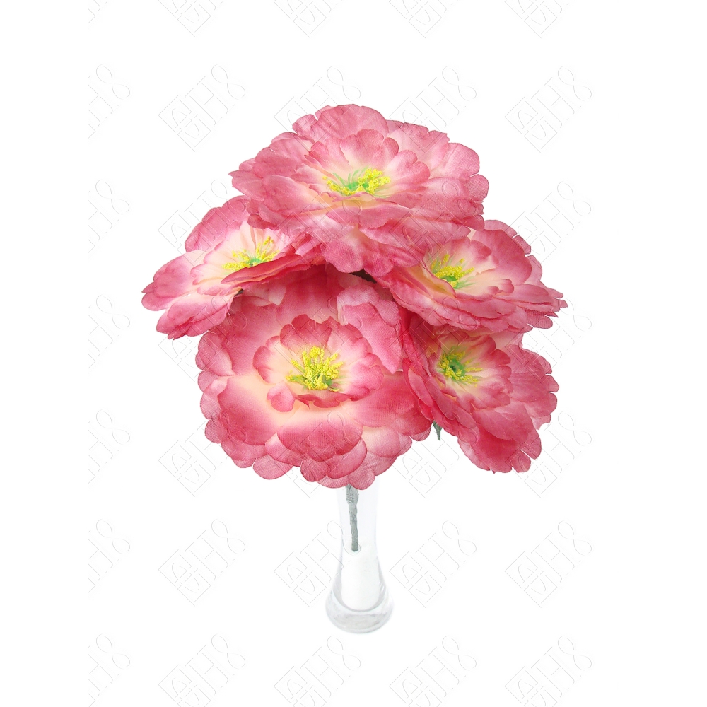 PEONIA X 7 (D) 37CM