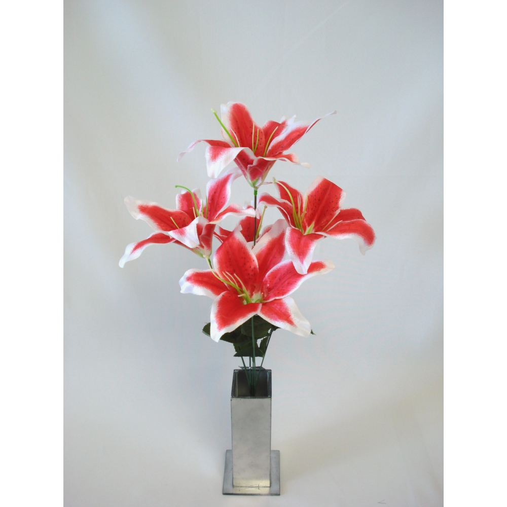 LIRIO TIGRADO X 5 (D) 43CM