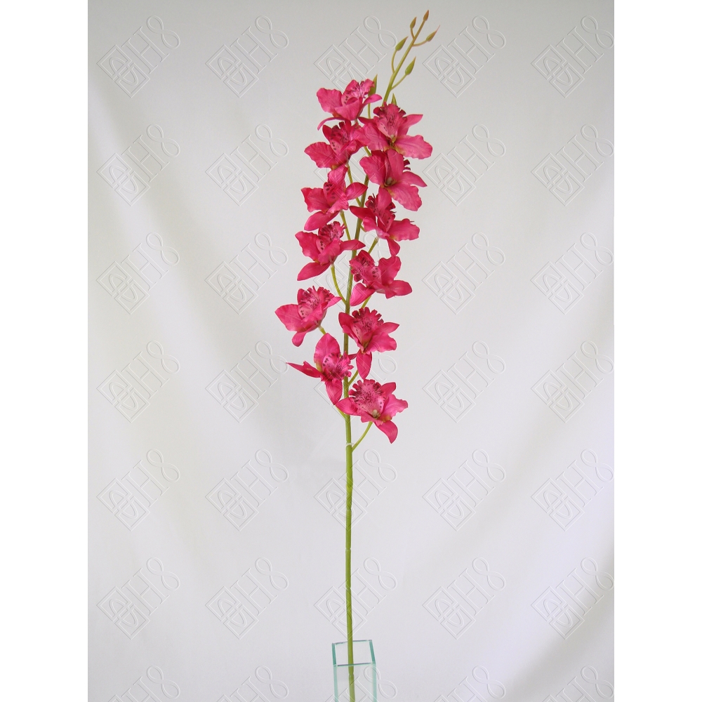 ORQUIDEA TAILANDESA X 12 (M) 1,00M