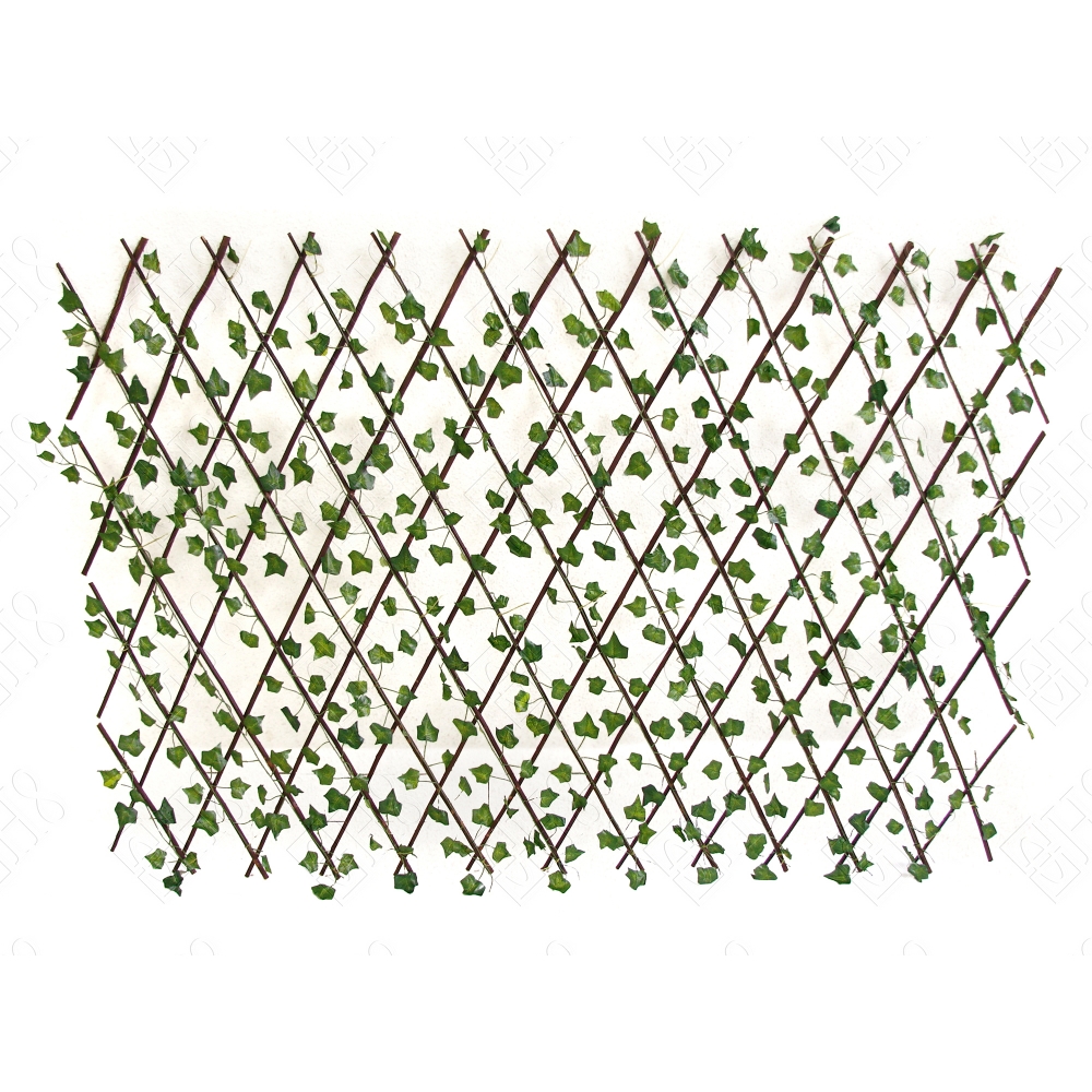 GRADIL DE FOLHAGEM DE HERA GRANDE X 15 (M) 230X70CM