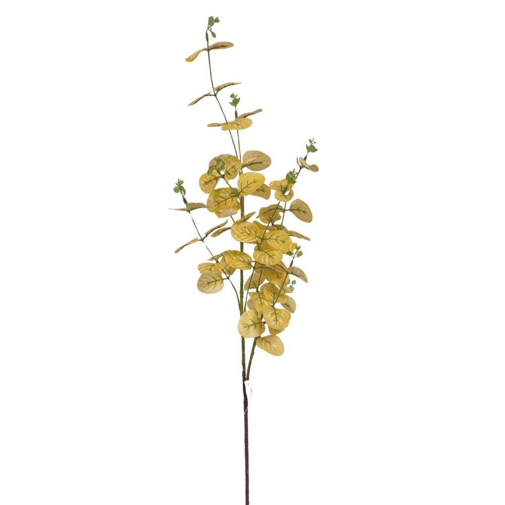 GALHO ALTO DE EUCALIPTO AMARELO X 2 (M) 95CM