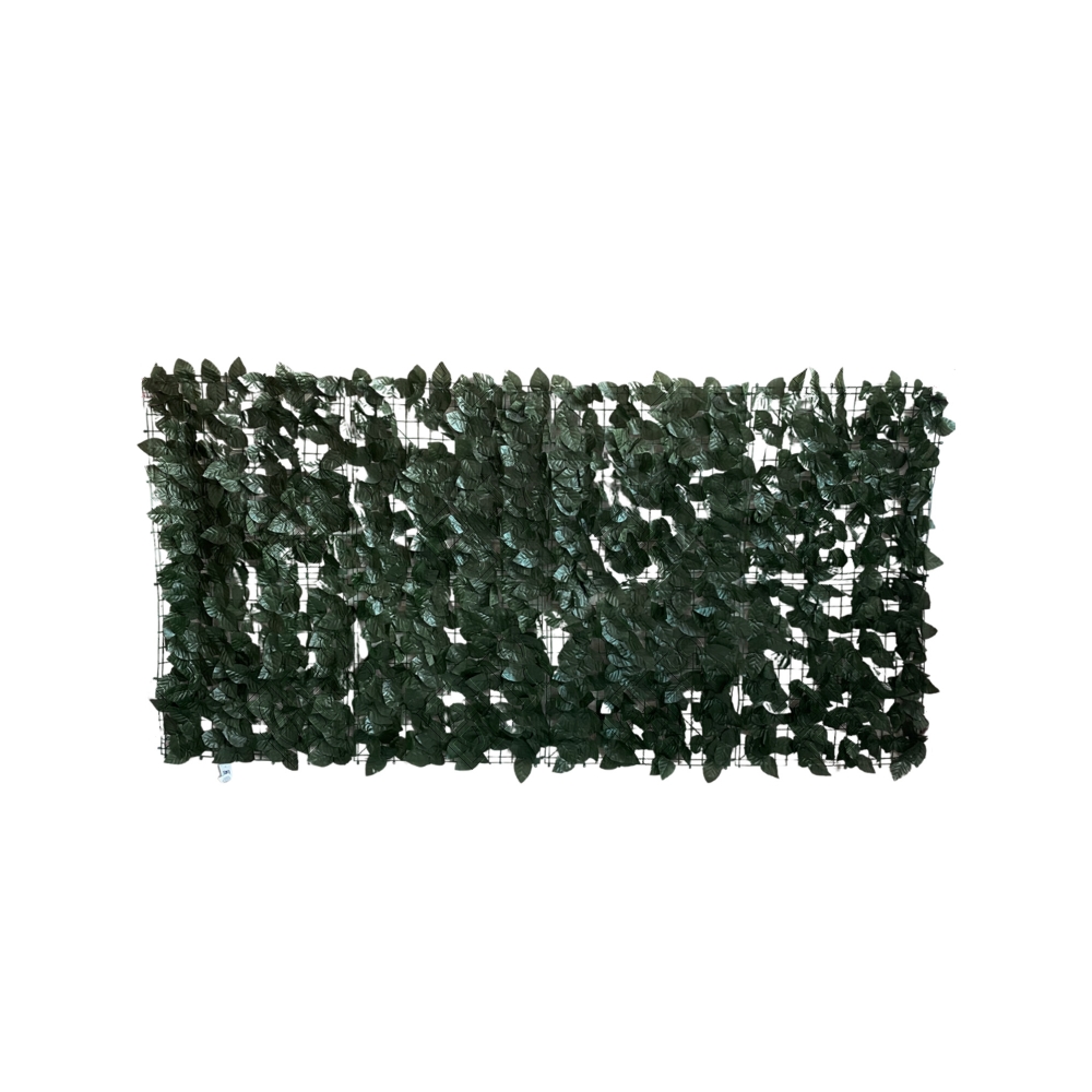 MURO INGLES FICUS (M) 2,00M X 1,00M