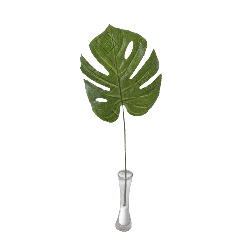 COSTELA DE ADAO DE SILICONE PEQUENO X 1 (M) 60CM