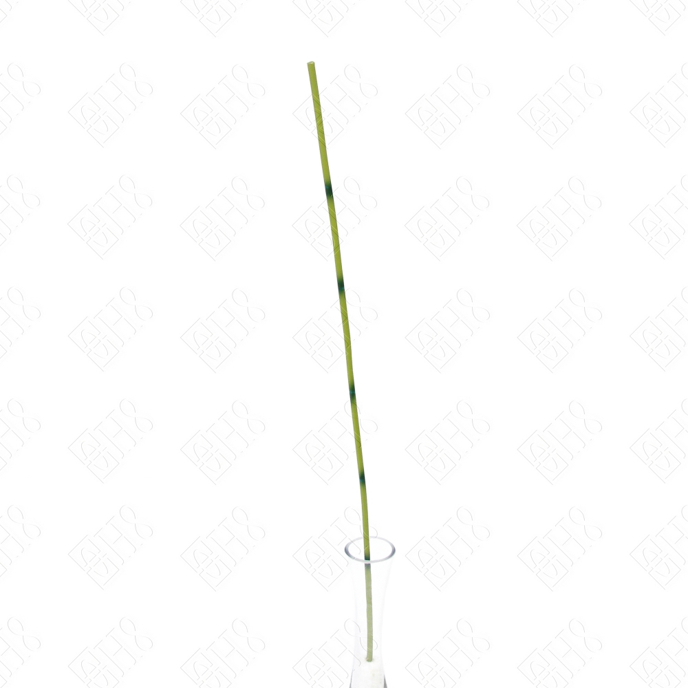 BAMBU PEQUENO X 1 (M) 59CM