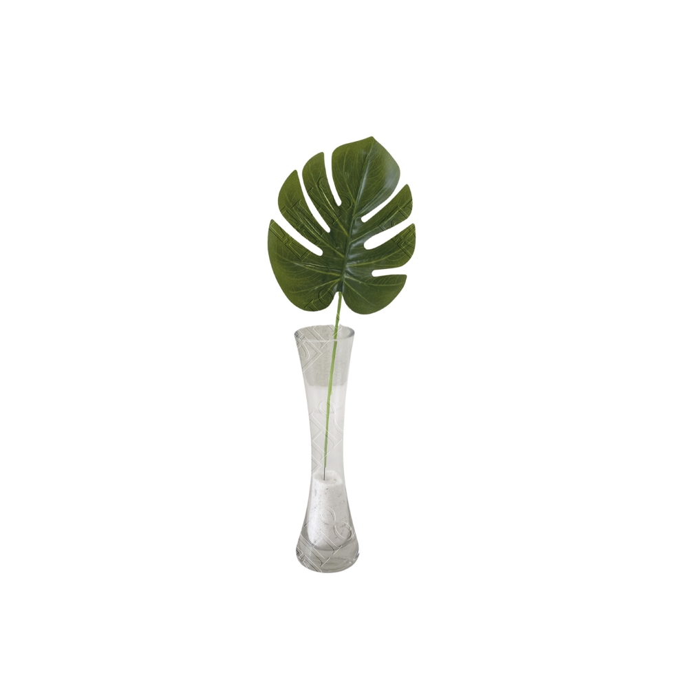 MINI COSTELA DE ADAO (M) 35CM