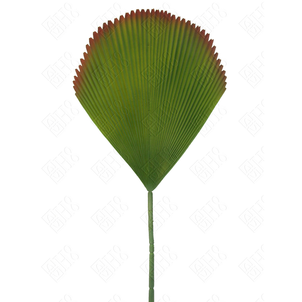 FOLHA DE PALMEIRA LEQUE EMBORRACHADA (M) 95CM BOX POR COR