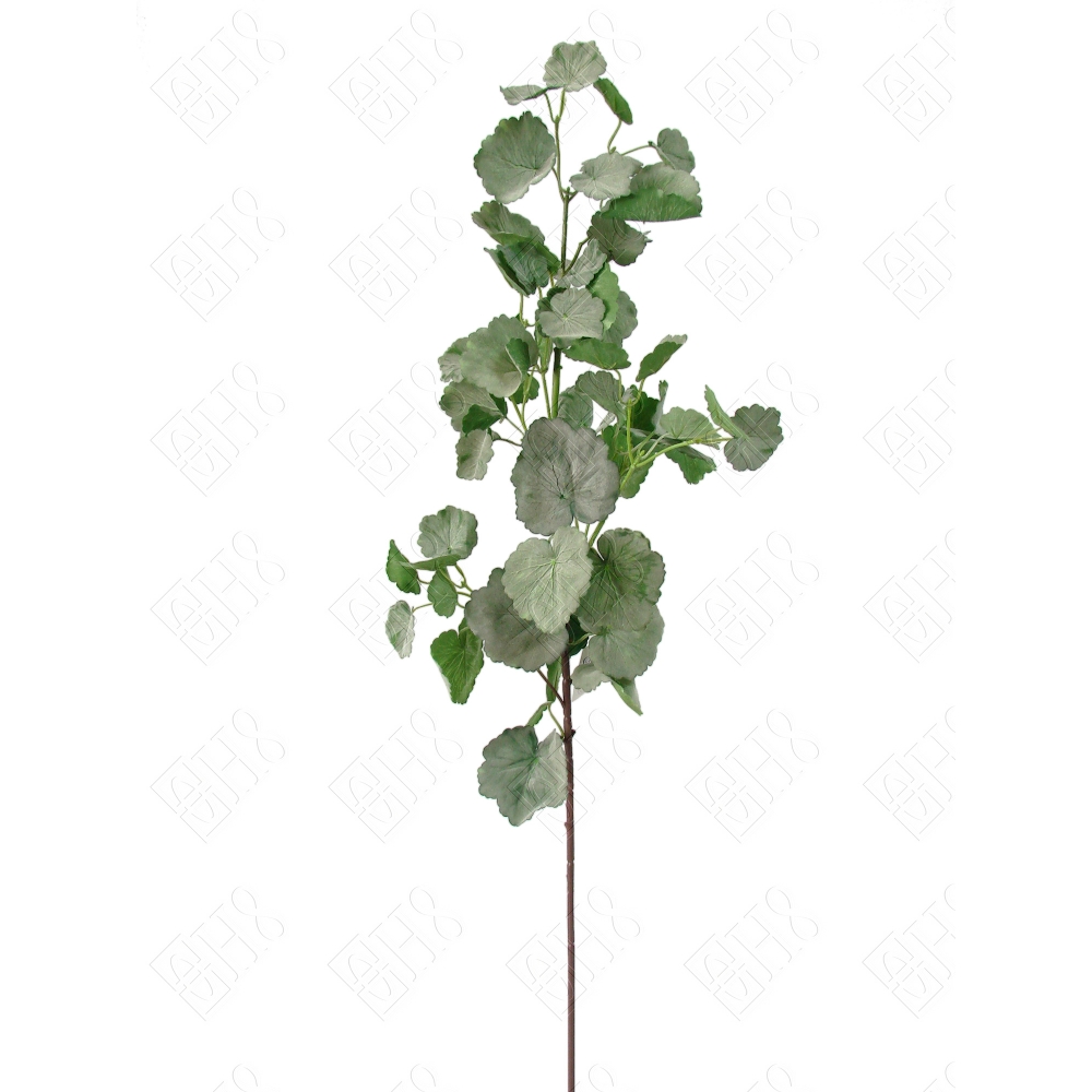 GALHO DE FOLHAGEM BEGONIA AVELUDADA (M) 96CM