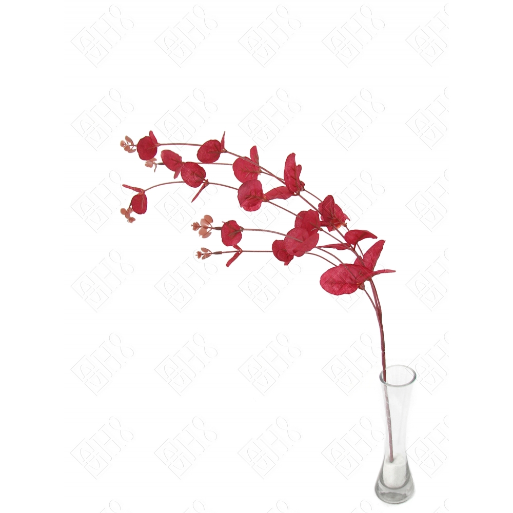 GALHO DE EUCALIPTO VERMELHO X 5 (M) 65CM