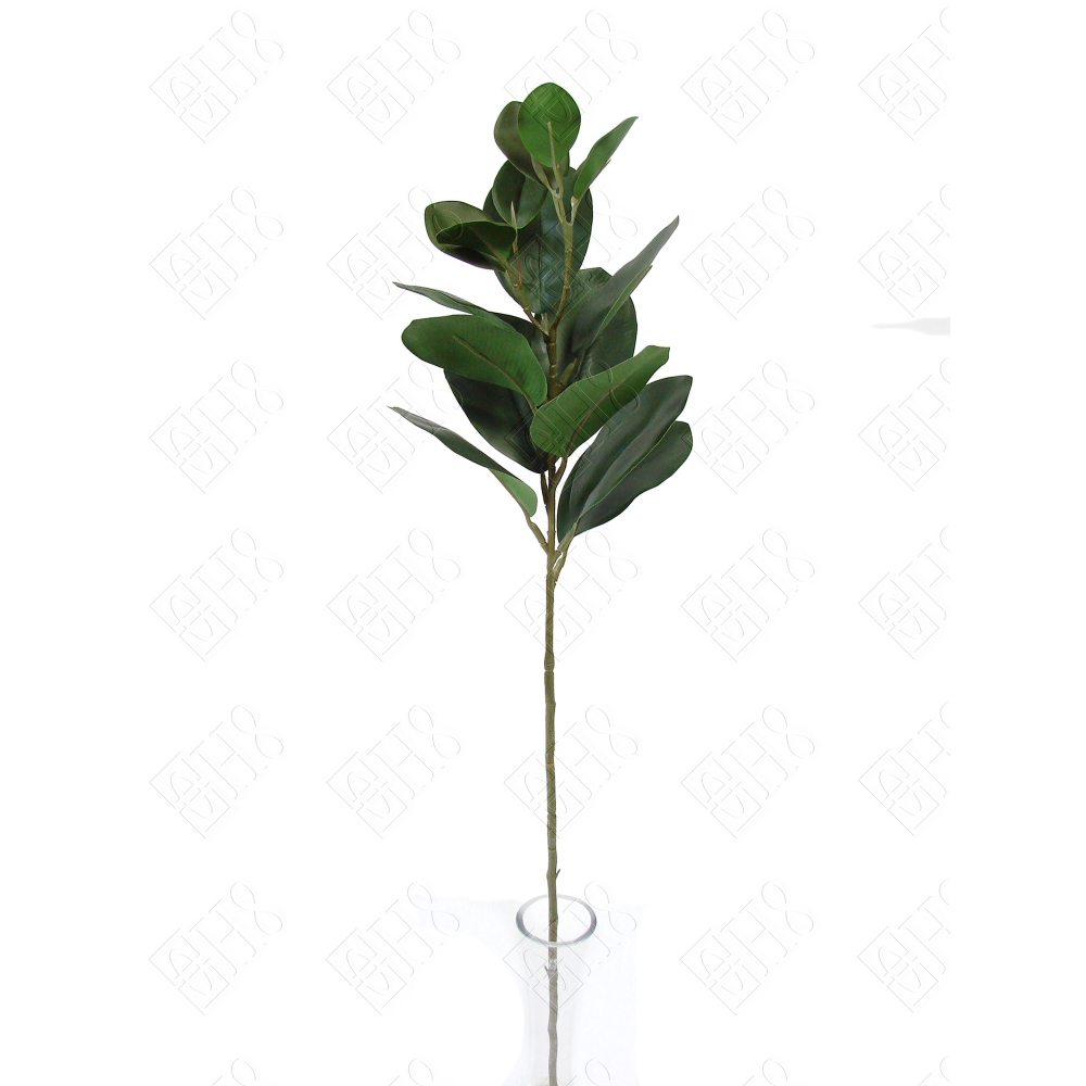 GALHO DE FICUS (M) 65CM BOX POR COR