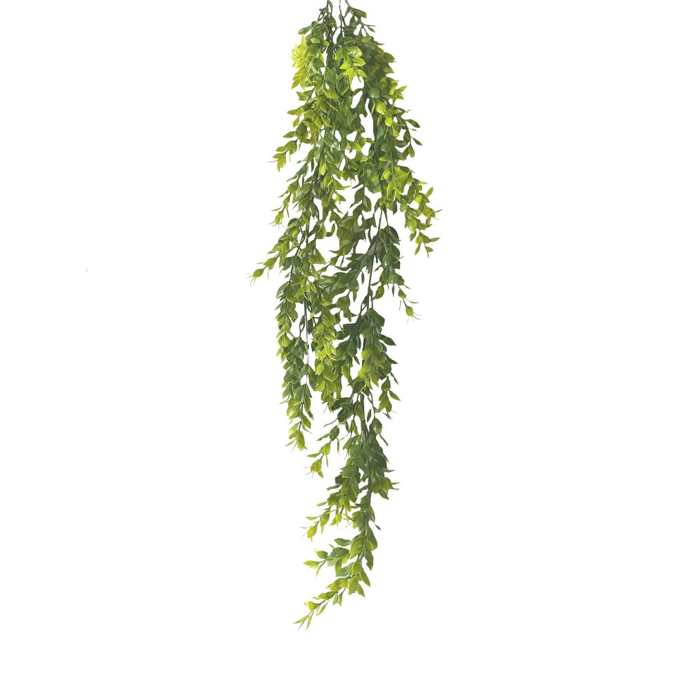 PENDENTE PLASTICO DE MINI FICUS X 2 (M) 80CM BOX POR COR