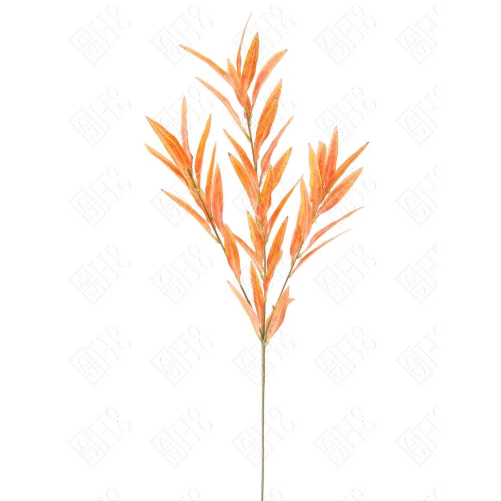 GALHO DE EUCALIPTO LARANJA X 3 (M) 97CM