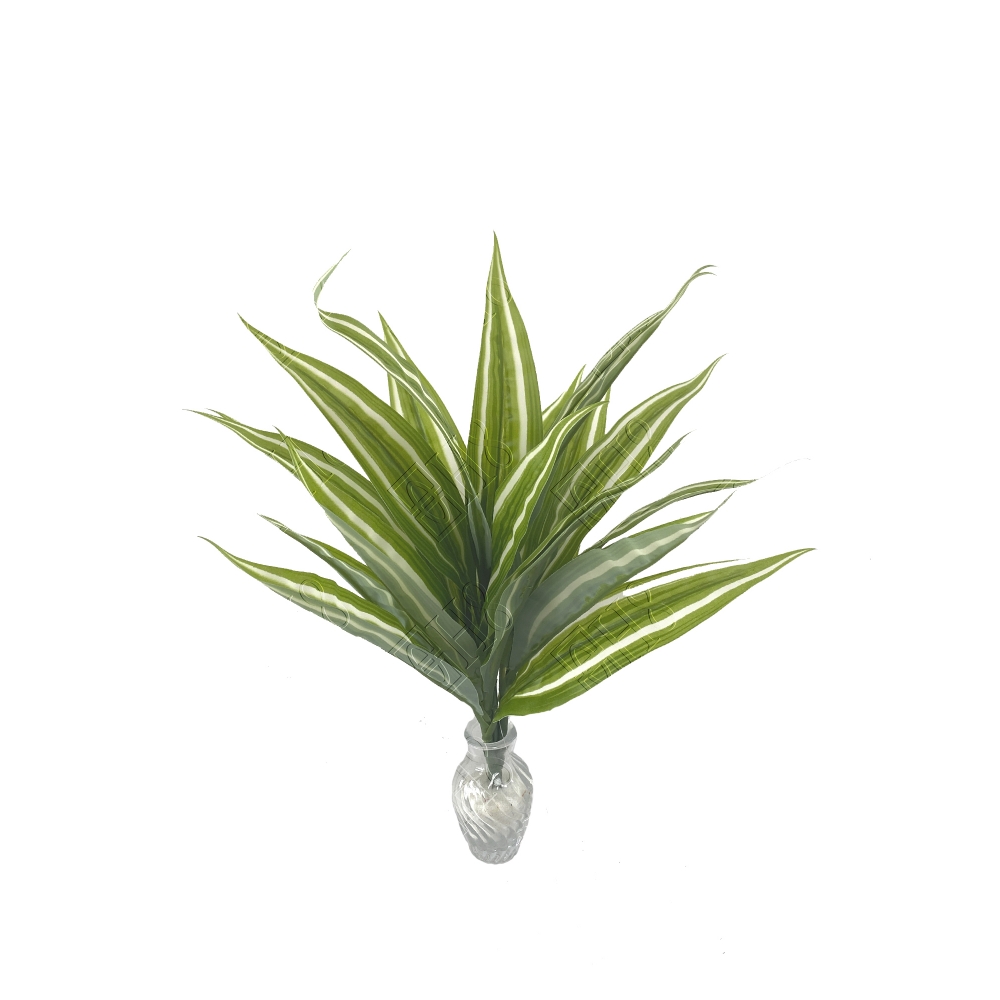 PLANTA PAU DAGUA TOQUE NATURAL X 4 (M) 38CM