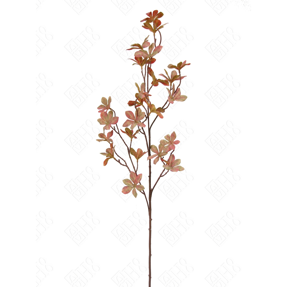 GALHO DE CHEFLERA LARANJA/VERDE (M) 1,05M