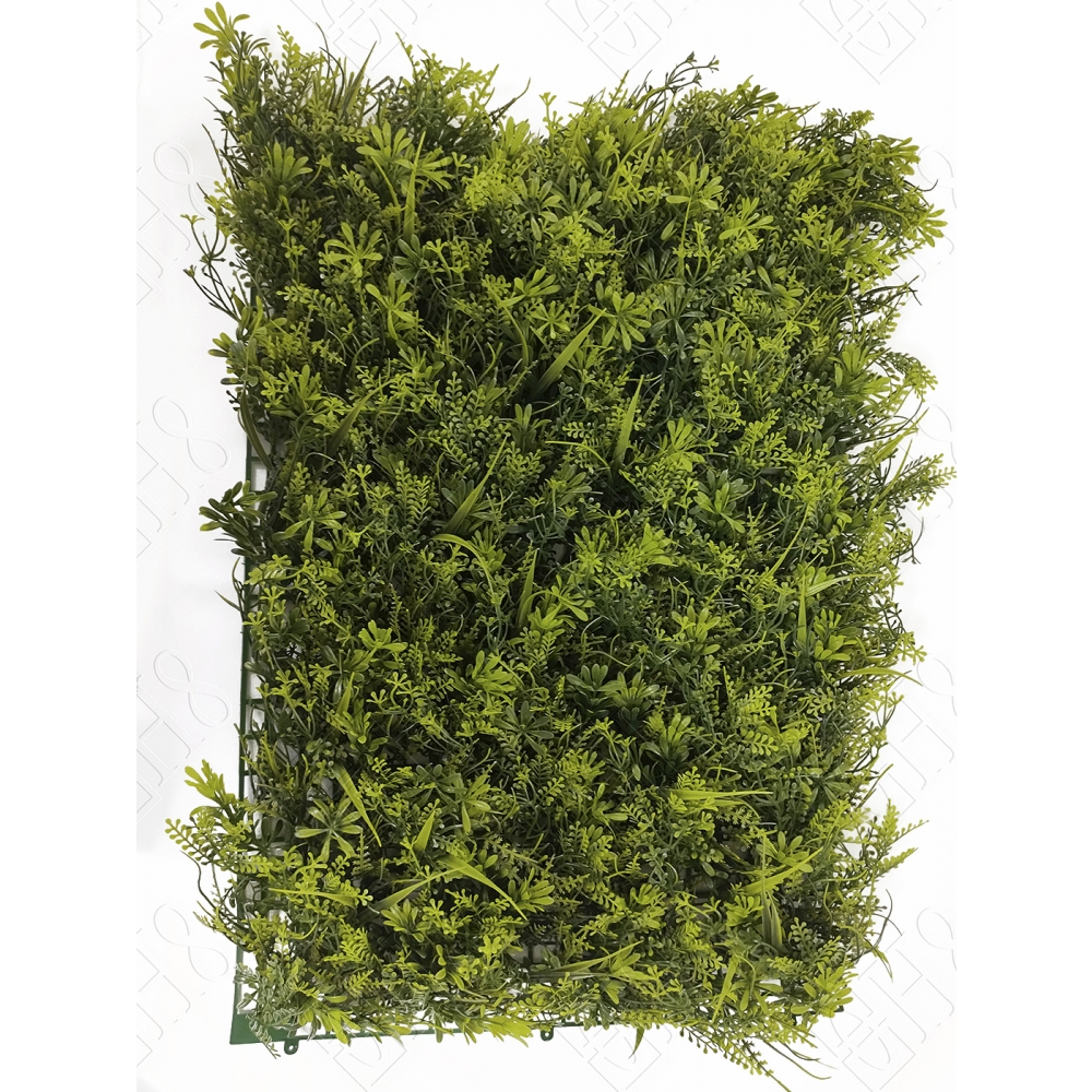 TAPETE DE GRAMA DE PITTOSPORUM E AVENCA (M) 60X40CM