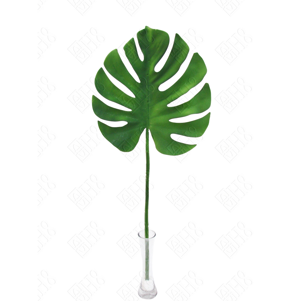 FOLHA COSTELA DE ADAO EMBORRACHADA VERDE (M) 70CM