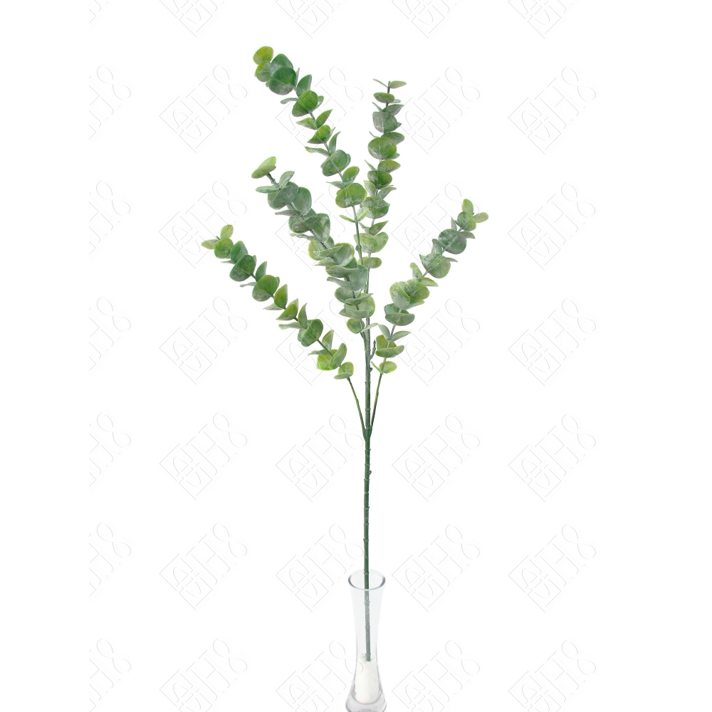 GALHO DE EUCALIPITO X 5 (M) 80CM