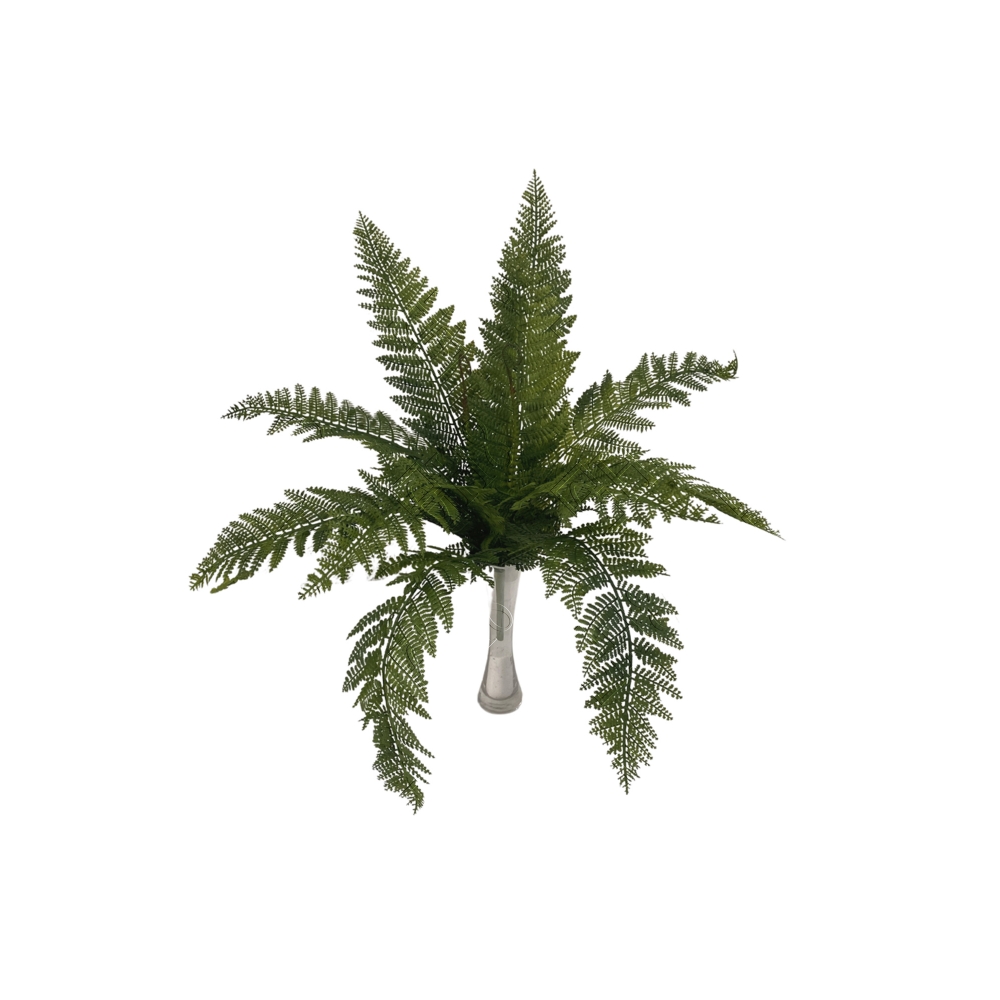 SAMAMBAIA X 14 (M) 50CM