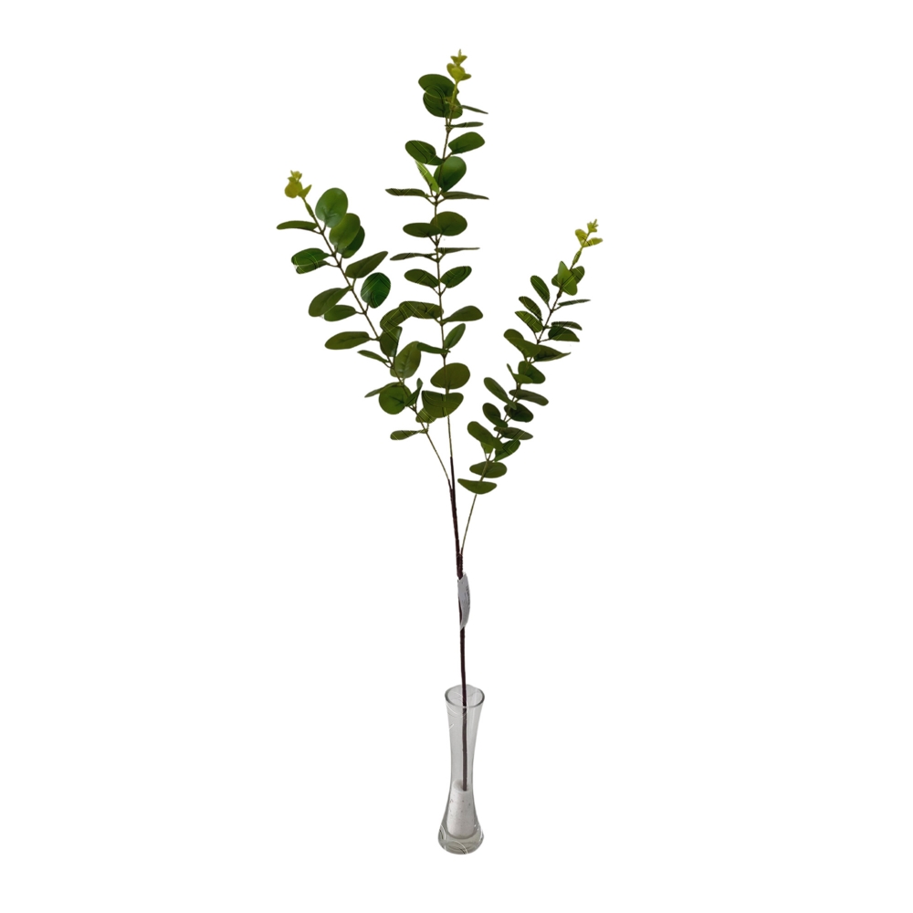 GALHO DE EUCALIPTO TOQUE NATURAL X 3 (M) 80CM BOX POR COR