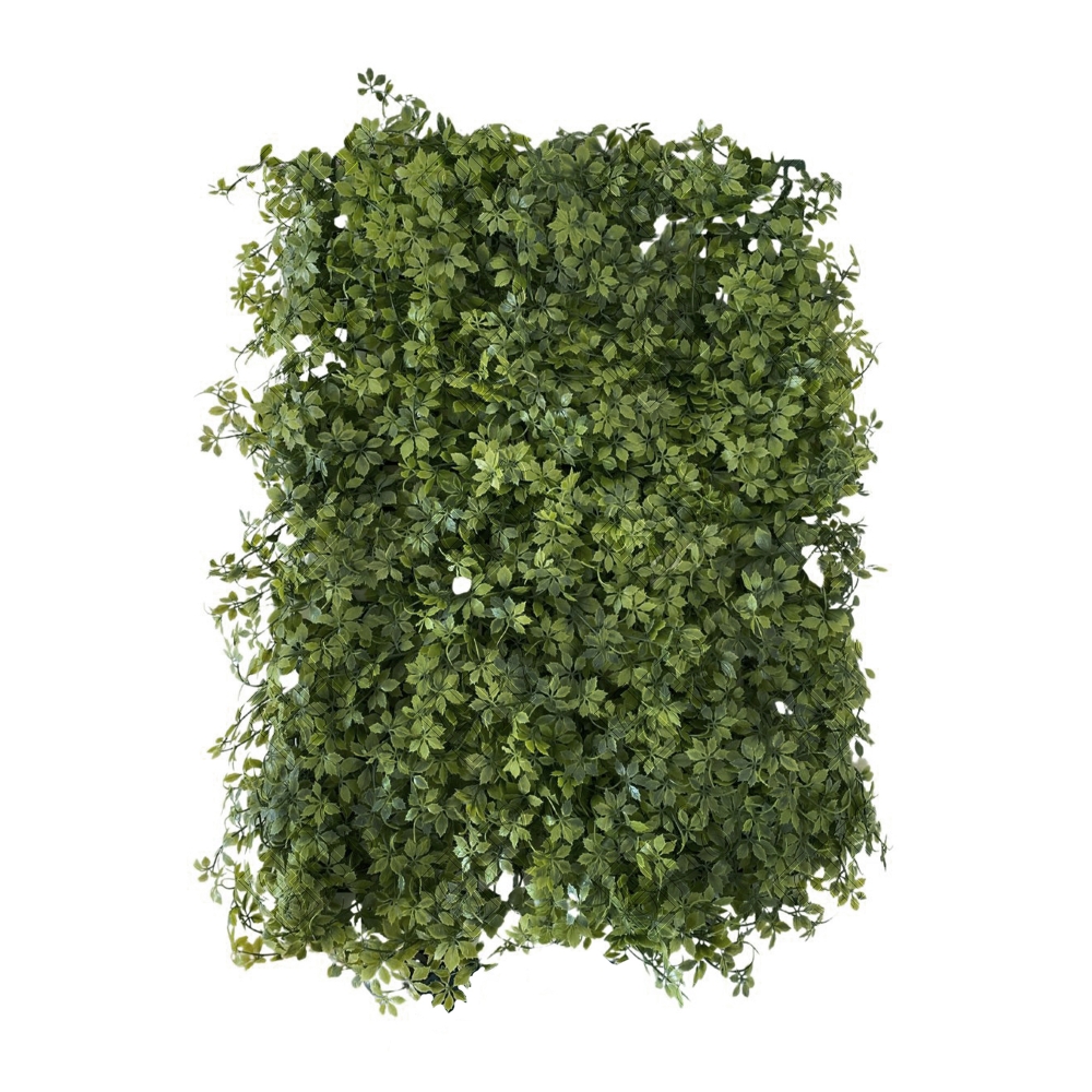 TAPETE DE GRAMA DE PACHYSANDRA (M) 60X40CM