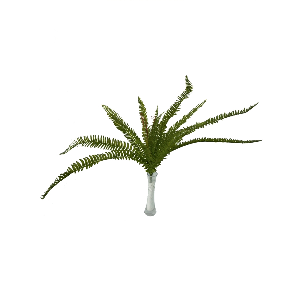 SAMAMBAIA LISA X 15 (M) 70CM