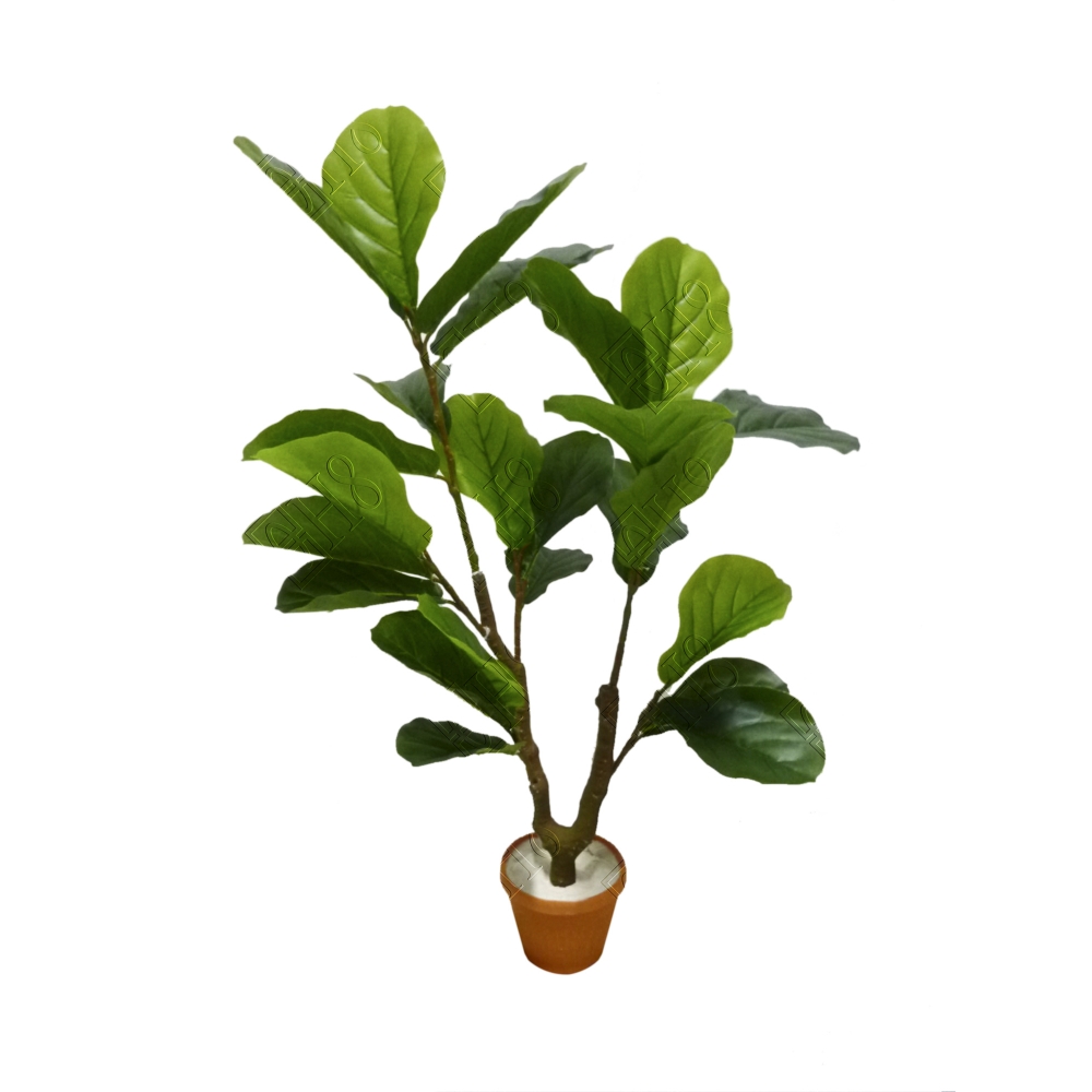 ARVORE FICUS LYRATA PEQ. (D) 90CM