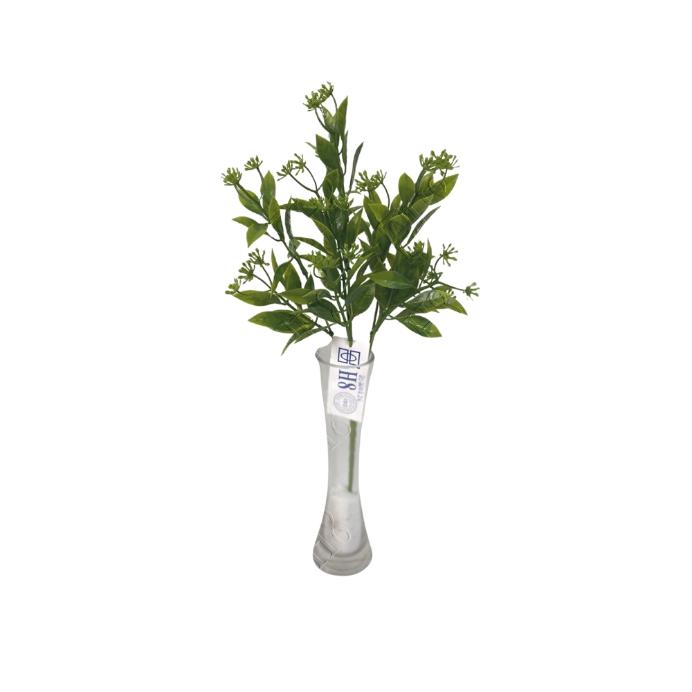 BUQU&Ecirc; DE BUPLEURUM X 5 (M) 34CM