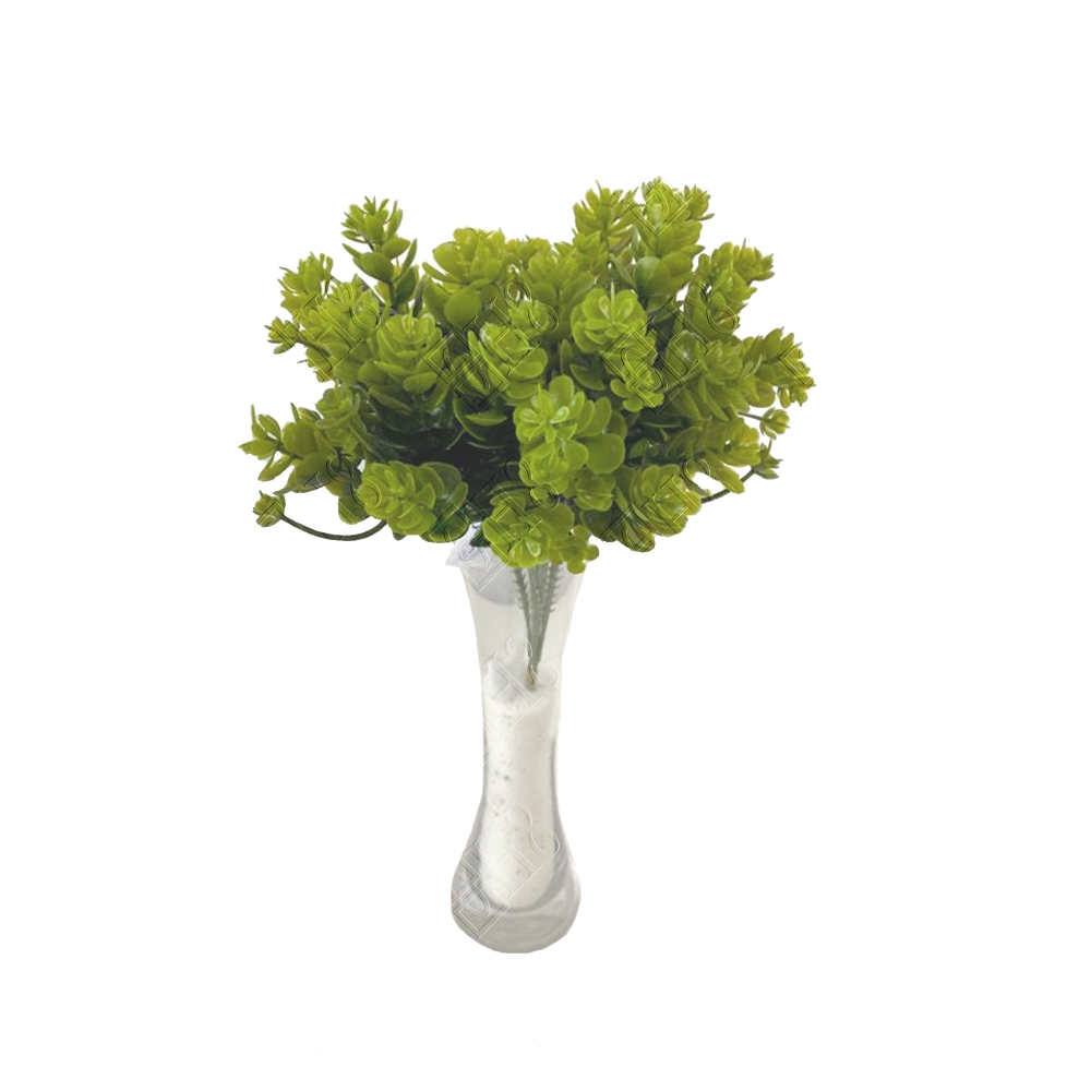 PICK DE SUCULENTA (M) 24CM