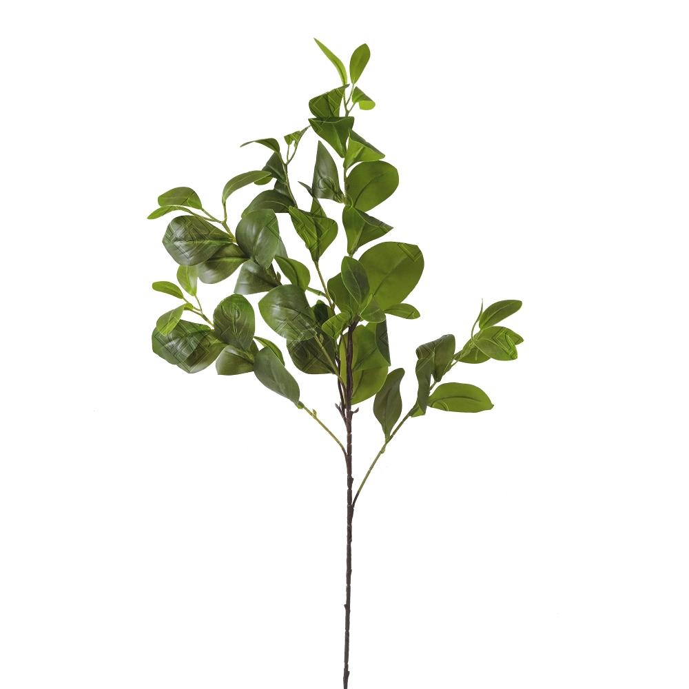 GALHO DE CLUSIA TOQUE NATURAL (M) 87CM