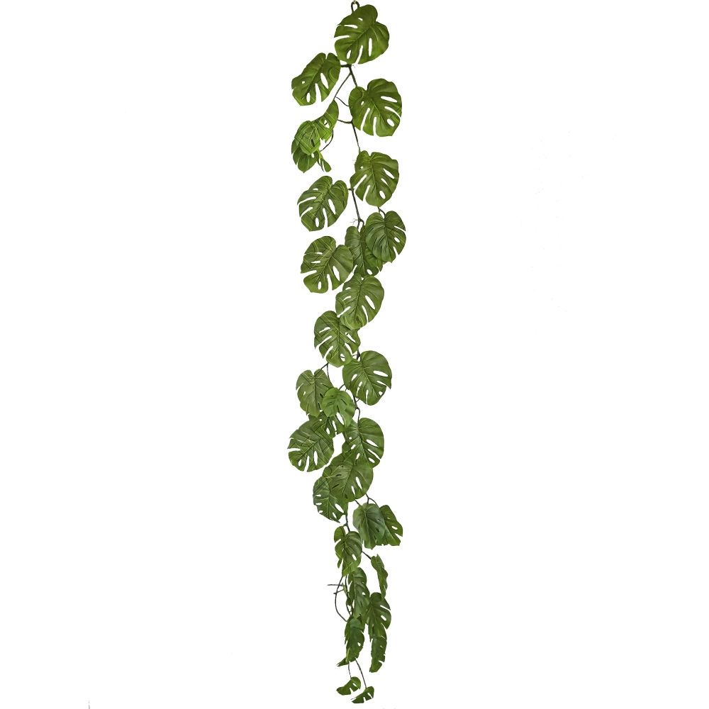CORRENTE DE COSTELA DE ADAO X 37 (30PCS/CX) (M) 1,80CM