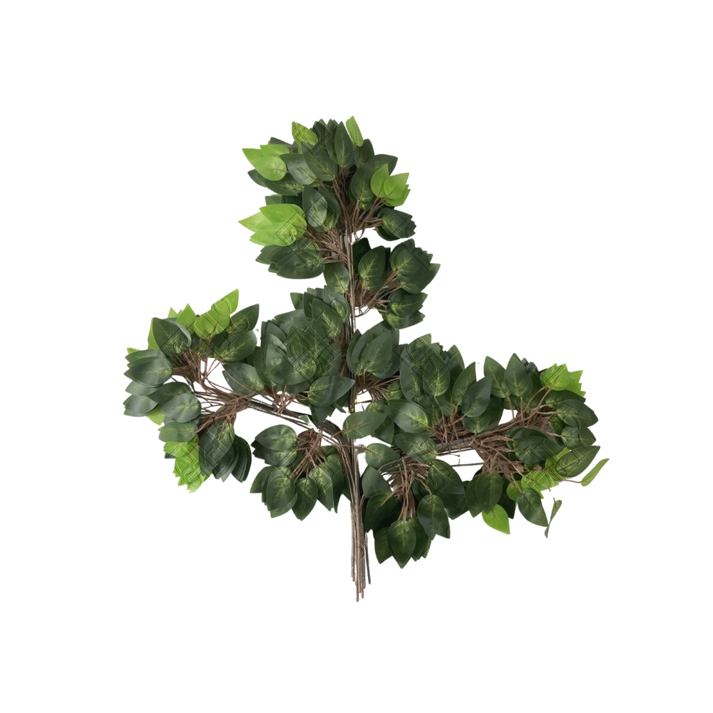 FICUS TOQUE NATURAL X 42 (M) 62CM