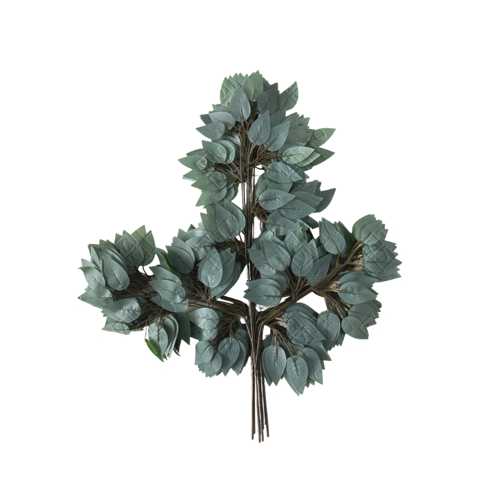 FICUS TOQUE NATURAL (LOTE DIFERENTE) X 42 (M) 62CM
