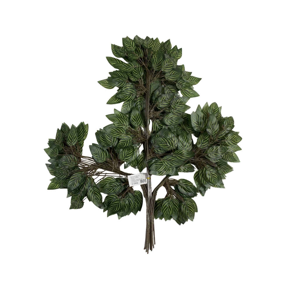 FICUS CALATEA TOQUE NATURAL X 42 (M) 61CM