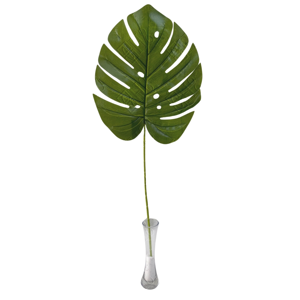 FOLHA DE COSTELA DE ADAO X 1 (M) 76CM (FOLHA 35CM)