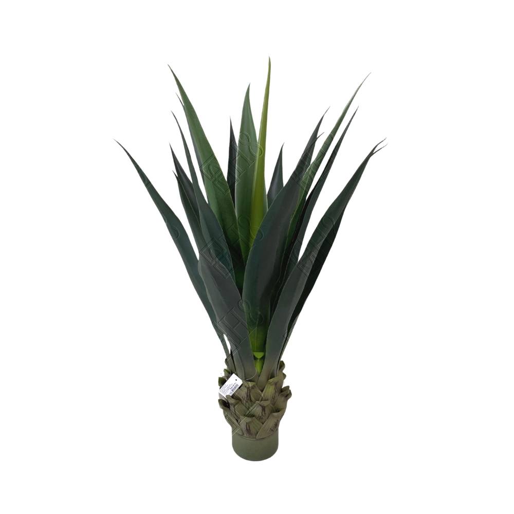 AGAVE AZUL AMERICANA TOQUE REAL VERDE X 15 FOLHAS (M) 90CM