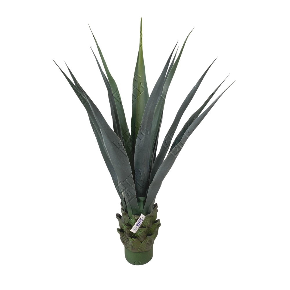 AGAVE AZUL AMERICANA TOQUE REAL VERDE CLARO X 15 FOLHAS (M) 90CM