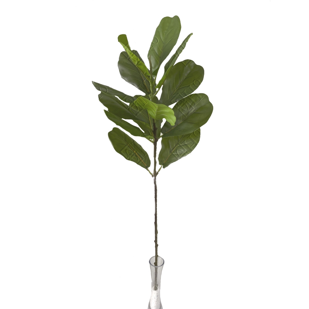 MINI ARVORE DE FICUS LYRATA TOQUE NATURAL X 1 (M) 90CM