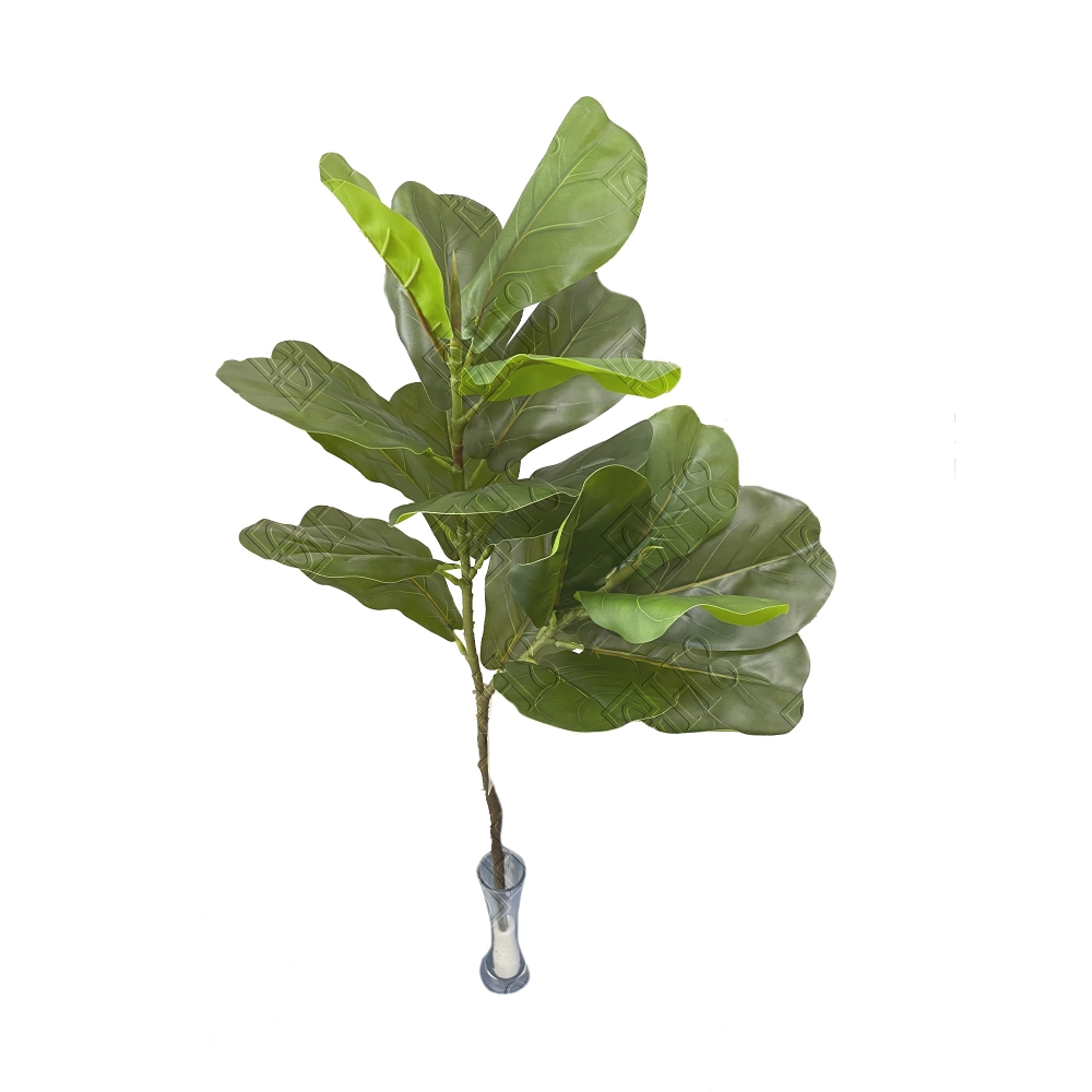 MINI ARVORE DE FICUS LYRATA TOQUE NATURAL X 2 (M) 88CM